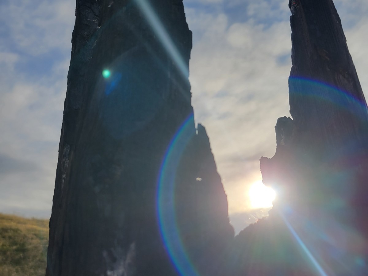 Risen Indeed