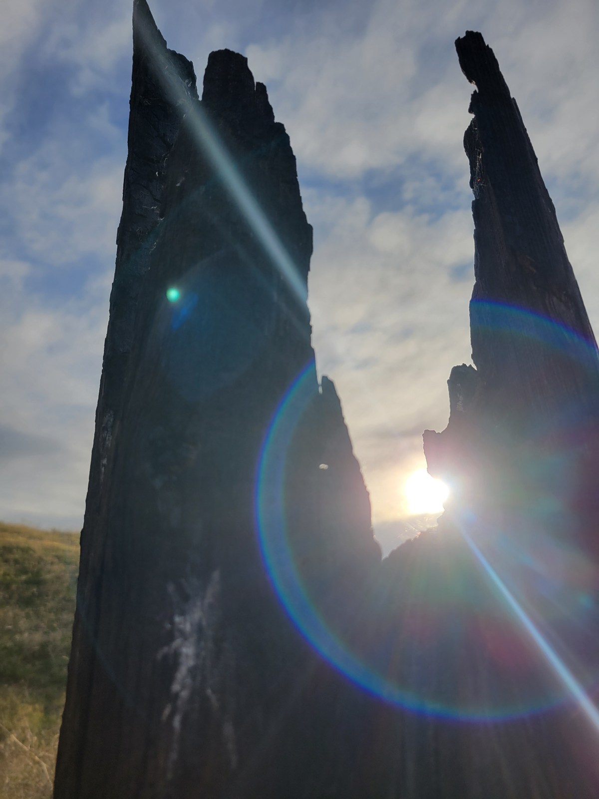 Risen Indeed
